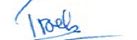 Troels Signature